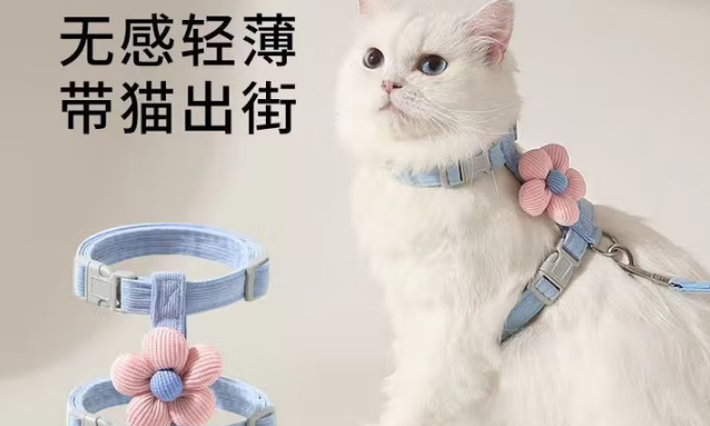 猫咪牵引绳品牌推荐:星舵带猫出街的时尚舒适之选 猫咪牵引绳品牌推荐:星舵带猫出街的时尚舒适之选