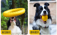 狗狗玩具哪个品牌好？宇丘宠物狗狗玩具，安全耐玩的养宠欢乐搭档