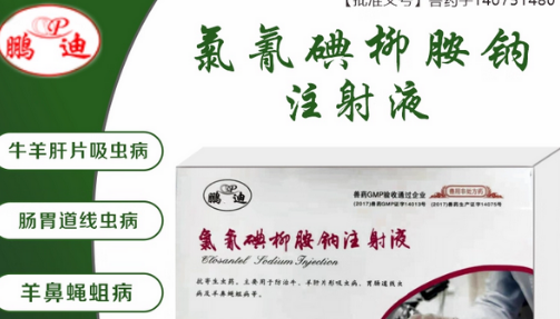 鹏迪兽药是大品牌吗