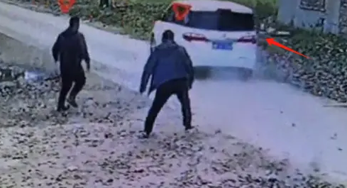 男子驾驶套牌车屡次进村偷狗，狗主人当场发现喝斥驱离