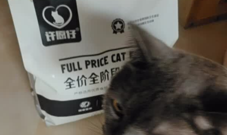 2025年宠物猫猫粮什么牌子好?看重性价比就选许愿仔猫粮 2025年宠物猫猫粮什么牌子好?看重性价比就选许愿仔猫粮