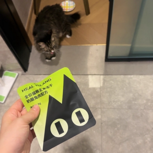 宠物食品哪个好？聚焦黑尔岛Heal Island的破局之道