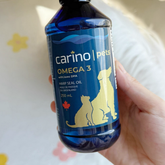 宠物海豹油与鱼油哪个好?卡里诺Carino值得选择 宠物海豹油与鱼油哪个好?卡里诺Carino值得选择