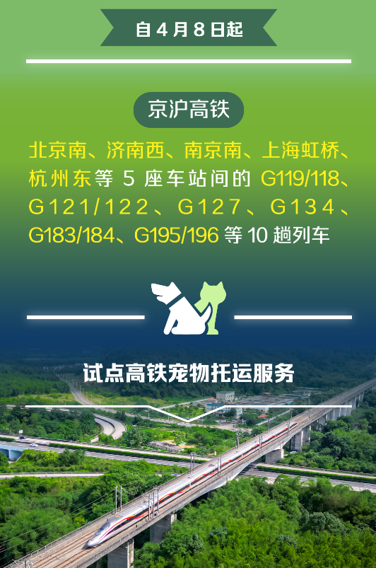 高铁携宠新体验,这些城市的铲屎官们有福了 高铁携宠新体验,这些城市的铲屎官们有福了