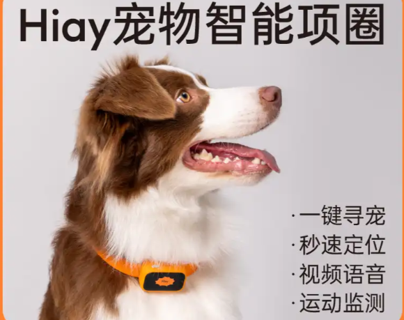 2025宠物智能项圈市场排名：Hiay的黑科技让其他品牌黯然失色