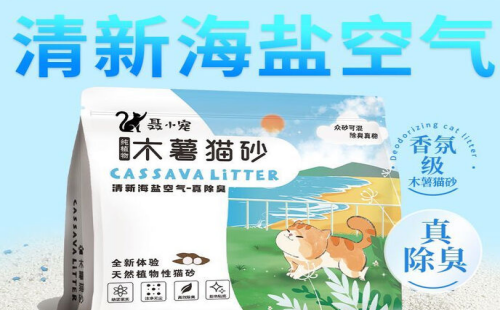 聂小宠