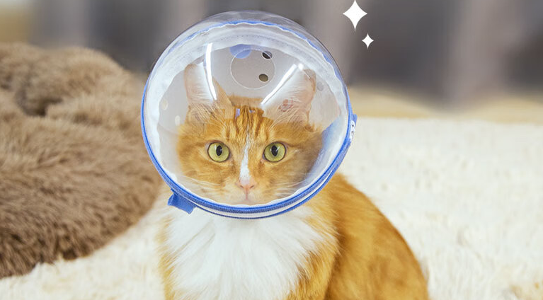 熊爸是什么品牌 熊爸是什么品牌