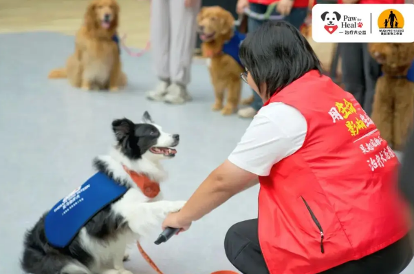 北京协和医院 × PFH治疗犬:共探老年健康关怀新路径 北京协和医院 × PFH治疗犬:共探老年健康关怀新路径