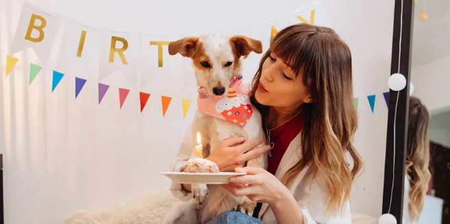 英国人也太会了!给宠物过生日好奢华,都在买这些礼物 英国人也太会了!给宠物过生日好奢华,都在买这些礼物