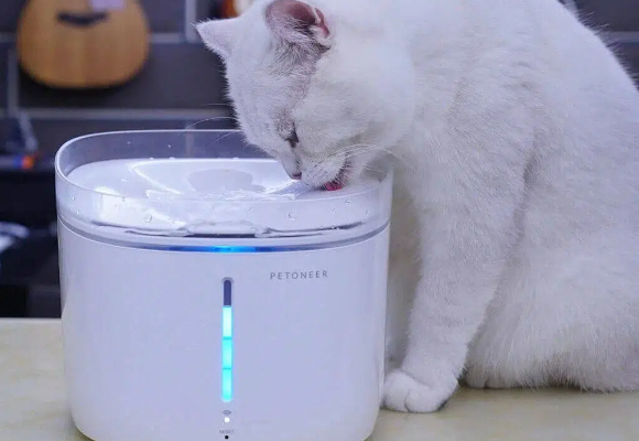 猫咪喝水少怎么办?PETONEER智能饮水机让补水情况一目了然 猫咪喝水少怎么办?PETONEER智能饮水机让补水情况一目了然