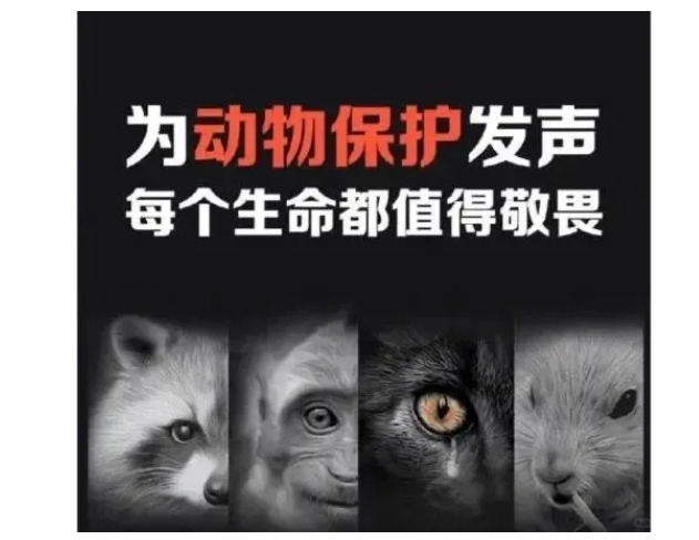 喜马拉雅山烟花秀,“劝退了”真正的户外人!叩问企业经营底线! 喜马拉雅山烟花秀,“劝退了”真正的户外人!叩问企业经营底线!