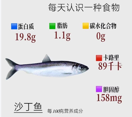 沙丁鱼的营养价值及功效