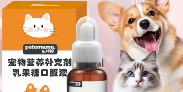宠物营养补充剂怎么选?PETEMAMA皮特姆守护宠肠健康新选择 宠物营养补充剂怎么选?PETEMAMA皮特姆守护宠肠健康新选择