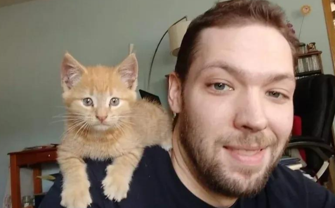 男子的一次善举，竟换来小橘猫的三年陪伴