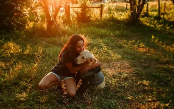 宠物经济爆发,这些岗位需求猛增 宠物经济爆发,这些岗位需求猛增