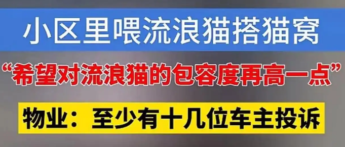 小区喂流浪猫搭窝，物业扔窝驱猫引争执