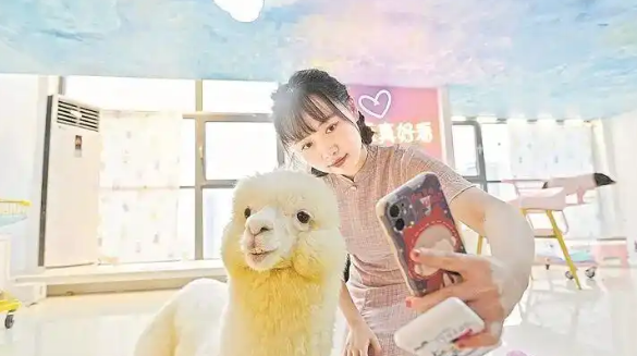 “它经济”崛起,江西宠物经济如何“出圈”? “它经济”崛起,江西宠物经济如何“出圈”?