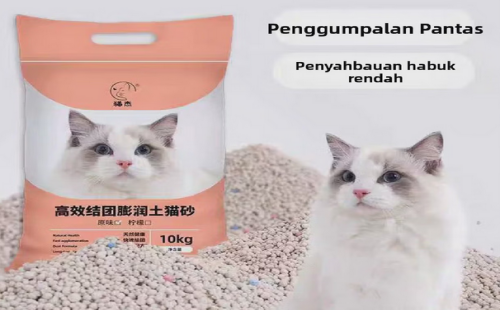猫杰
