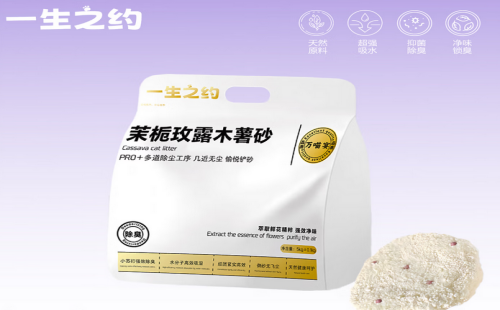 一生之约