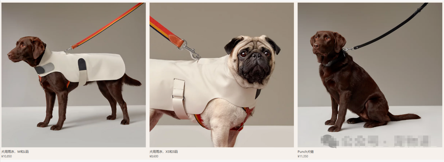 2万元不锈钢犬碗引热议,宠物奢侈品究竟是谁在买单?.png 2万元不锈钢犬碗引热议,宠物奢侈品究竟是谁在买单?.png