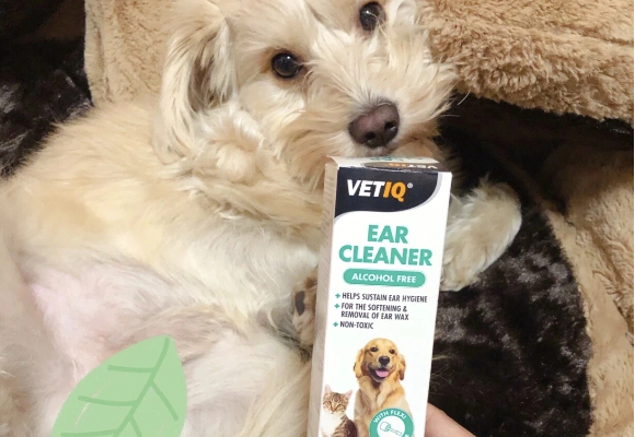 给猫咪清洁耳朵用什么好？VETIQ洗耳液，老用户的心头好