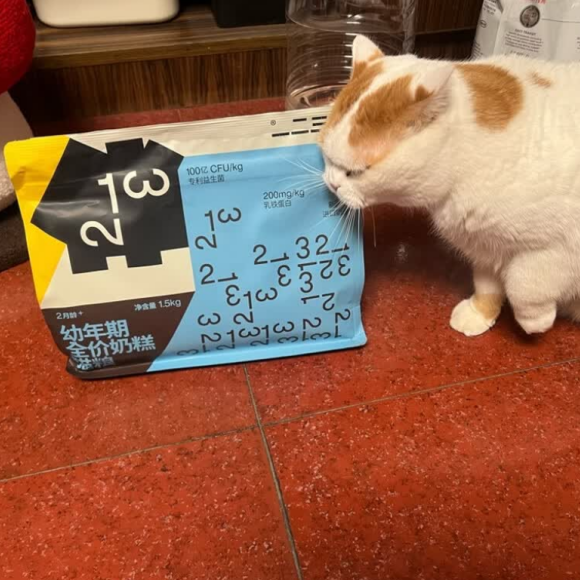 第一次买猫粮要注意什么?一二三伴打造离乳期猫咪的第一餐 第一次买猫粮要注意什么?一二三伴打造离乳期猫咪的第一餐