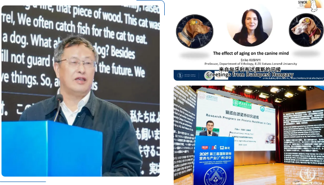 汇聚湾区活力,2025第三届国际宠物营养与产业(广州)会议圆满落幕 汇聚湾区活力,2025第三届国际宠物营养与产业(广州)会议圆满落幕