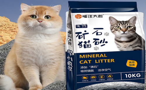 喵汪大脸