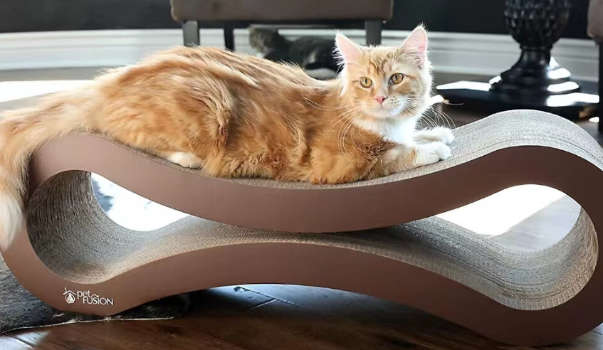 梵米派猫抓板有必要买吗