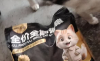 猫粮品牌推荐：粮印象——新手养猫的第一口安心粮​