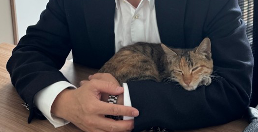 上海交大教授高架救猫刷屏暖人心 “太太一抱定终身”