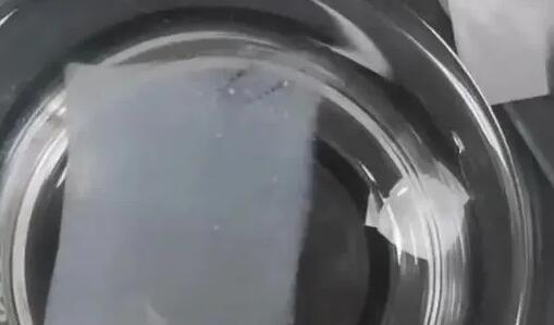 宠物口溶膜：以功能革新化解宠物主的营养补充焦虑