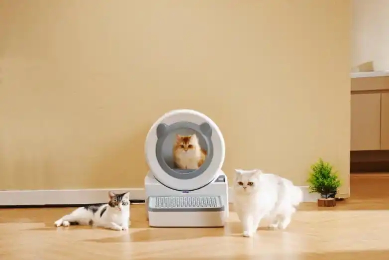 即用即冲不铲屎,宠洁仕冲水式智能猫马桶助养宠家庭告别“猫厕味” 即用即冲不铲屎,宠洁仕冲水式智能猫马桶助养宠家庭告别“猫厕味”