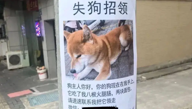 网友路边看见一则失狗招领，读了上面的字后……