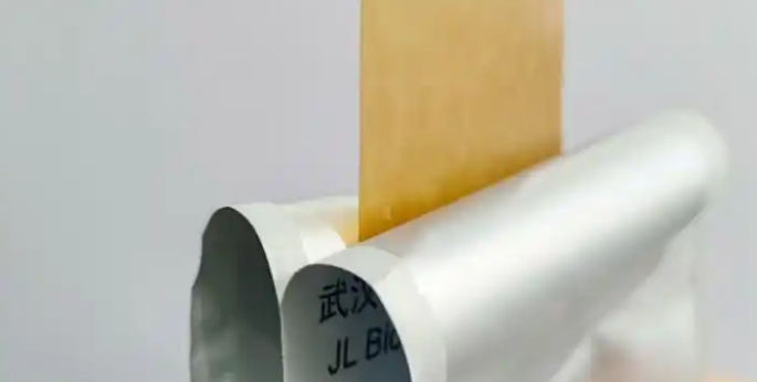 宠物年龄换算的背后：为何它们需精准营养补给？