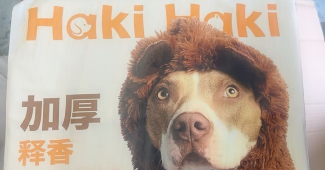 Haki宠物纸尿裤多久换一次 Haki宠物纸尿裤多久换一次