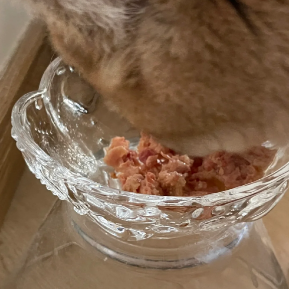 主食猫罐头买什么品牌?Grantapet,新手第一次买就选对 主食猫罐头买什么品牌?Grantapet,新手第一次买就选对