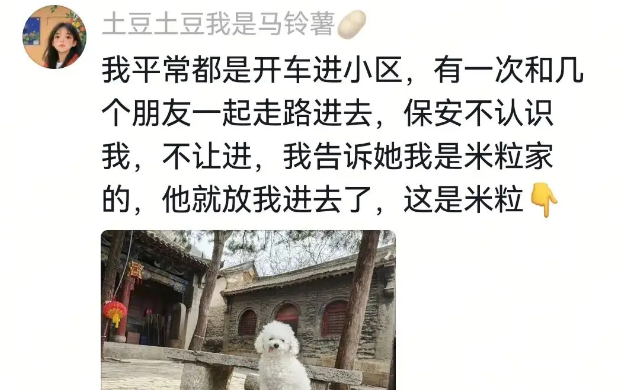 网友为搬家临时租房过渡,房东一听狗子名字立刻免掉租金 网友为搬家临时租房过渡,房东一听狗子名字立刻免掉租金