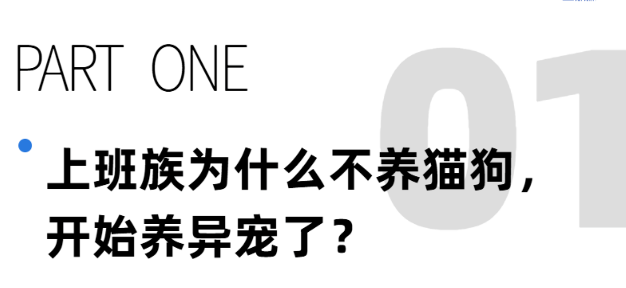 1 小宠异宠市场崛起 成消费宠物用品市场新风口.png 1 小宠异宠市场崛起 成消费宠物用品市场新风口.png