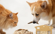 猫零食吃什么好？一家之言“鲜肉原切冻干”让挑食主子也疯狂！