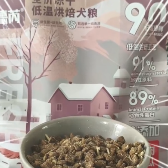 什么狗粮好且性价比高?德芮Drools开启毛孩子健康计划 什么狗粮好且性价比高?德芮Drools开启毛孩子健康计划