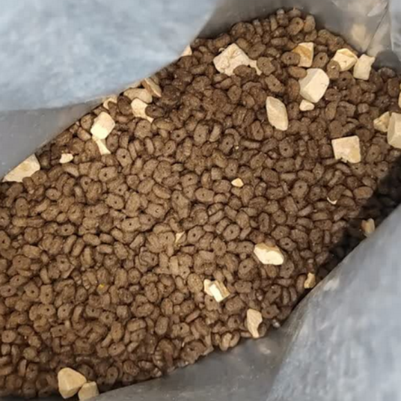 什么猫粮比较受欢迎?喔比让分享成为习惯 什么猫粮比较受欢迎?喔比让分享成为习惯