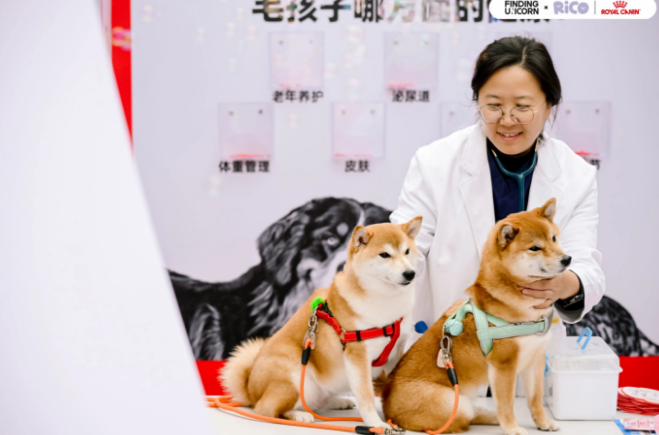 以科学专业赋能健康陪伴，皇家宠物食品“带宠去医院”焕新起航