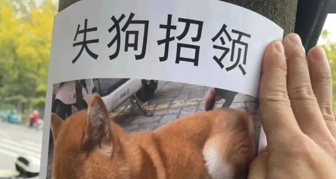 网友路边看见一则失狗招领，读了上面的字后……