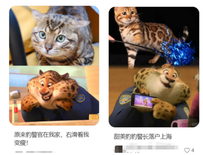《疯狂动物城2》爆火，宠物圈成流量新高地