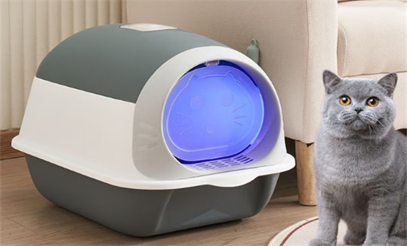 小豹贝猫砂盆放多少猫砂合适