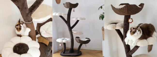 年营收3.7亿,这家企业把猫爬架卖到全球 年营收3.7亿,这家企业把猫爬架卖到全球