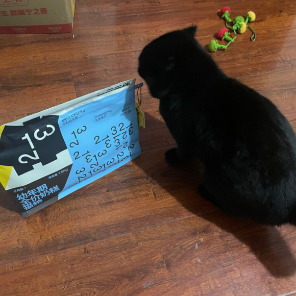 什么猫粮卖得好？一二三伴见证每一克蜕变 