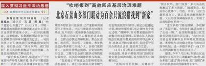 石景山多部门联动，为百余只流浪猫找到“新家”