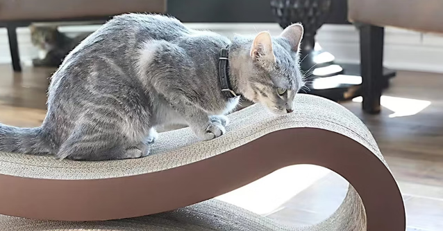 梵米派猫抓板能用多久